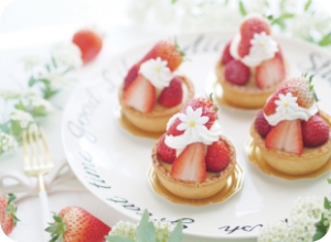 主な実習メニューイメージ