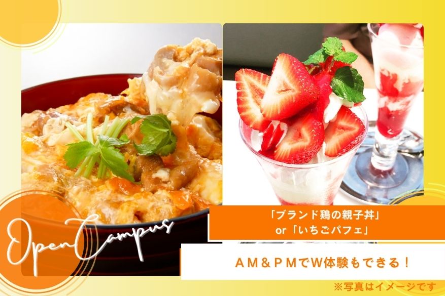 週末のオンラインオープンキャンパス♬